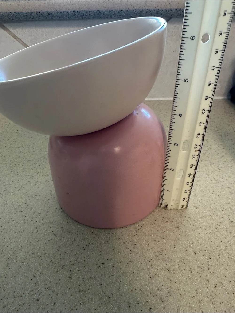 Pink & White Elevated Pet Bowl